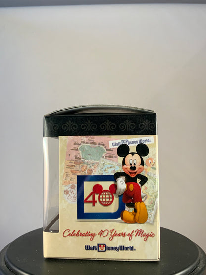 Disney Vinylmation: Walt Disney World 40th Anniversary Series (Magic Kingdom)